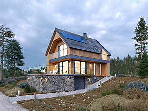 Projekt domu Agrest 2