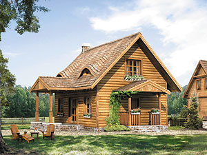 Projekt domu Ami bal