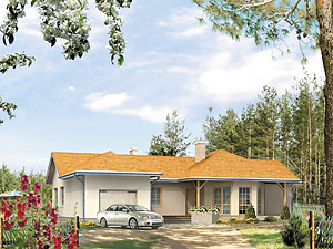 Projekt domu Fraza silka