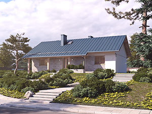 Projekt domu Mahoń 4