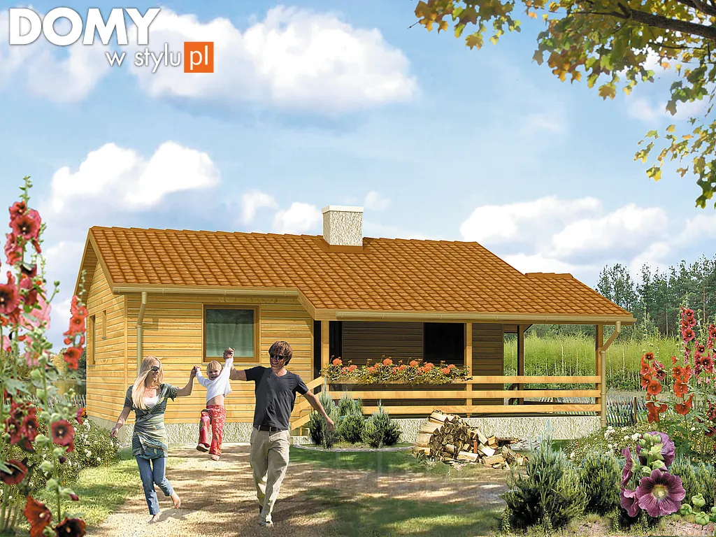 Projekt domu letniskowego drewnianego Best 3 dr-S - wizualizacja frontowa