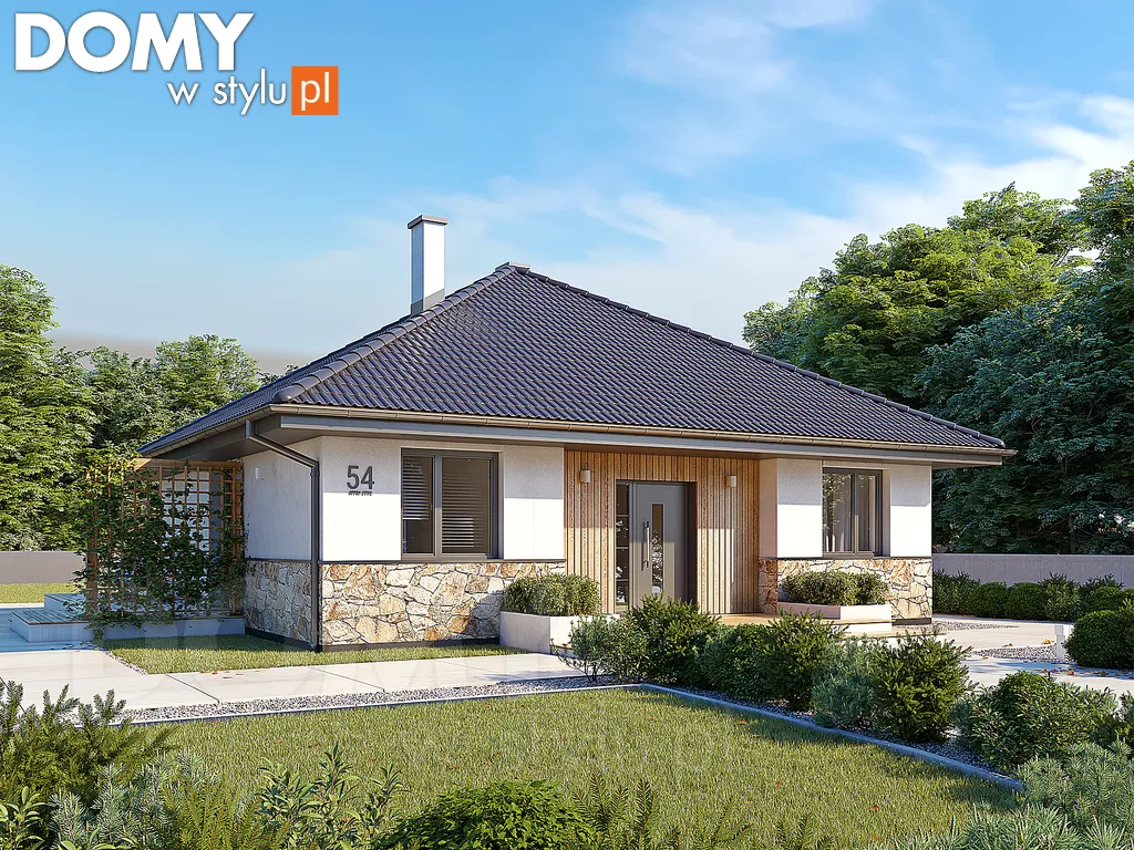 Nowoczesny projekt domu parterowego drewnianego Elka 2 dr-ST - wizualizacja frontowa