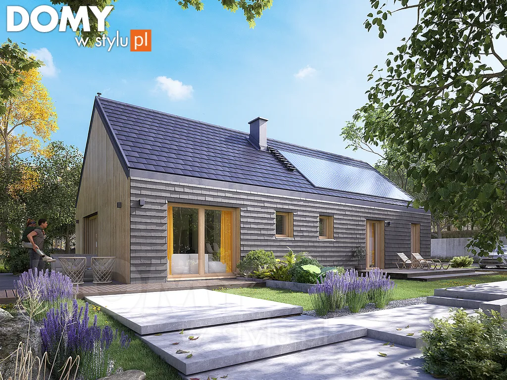 Nowoczesny projekt domu parterowego Paproć 4 - wizualizacja frontowa