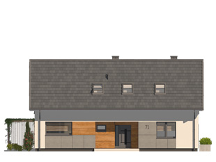 Projekt domu Daktyl - elewacje