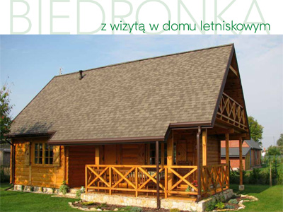 Z wizytą w domu letniskowym Biedronka