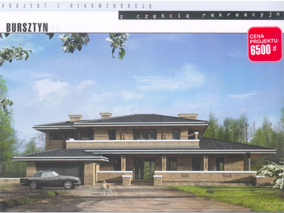 Projekt z rekomendacją