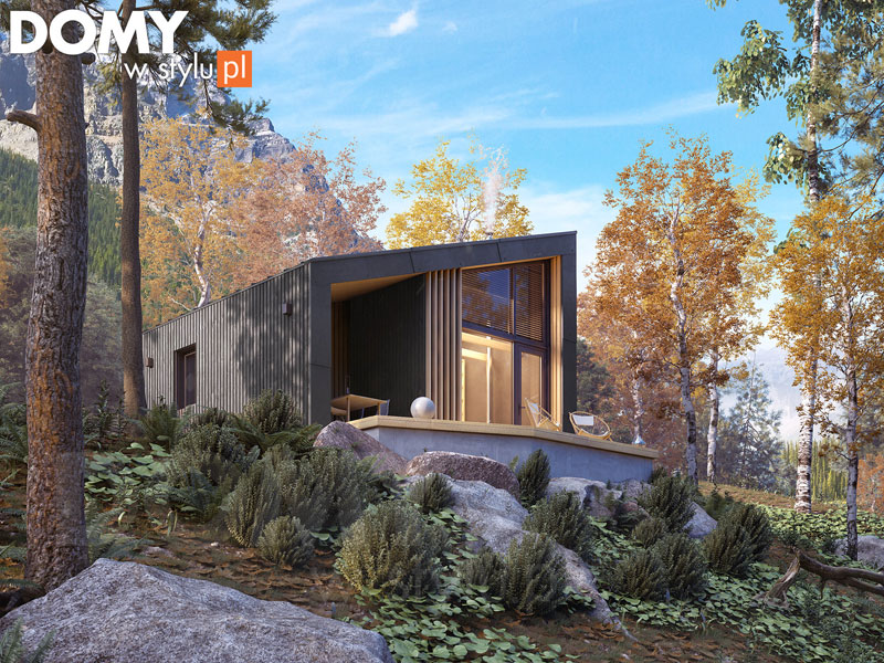 Projekt domu Szyszka 2 dr-S